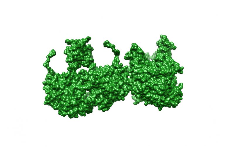 3D Rendering of a Katalse molecule