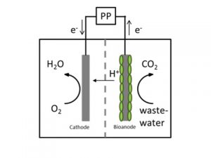 Scheme of MFC