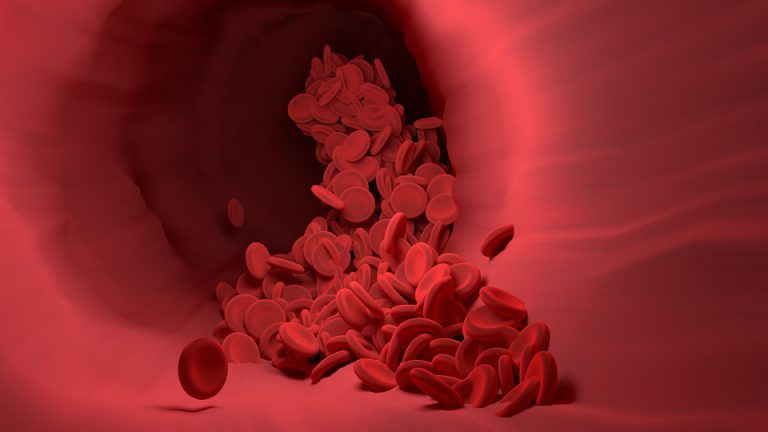 Das Bild zeigt ein 3D-Bild von einem Haufen roter Blutkörperchen in einem Blutgefäß.