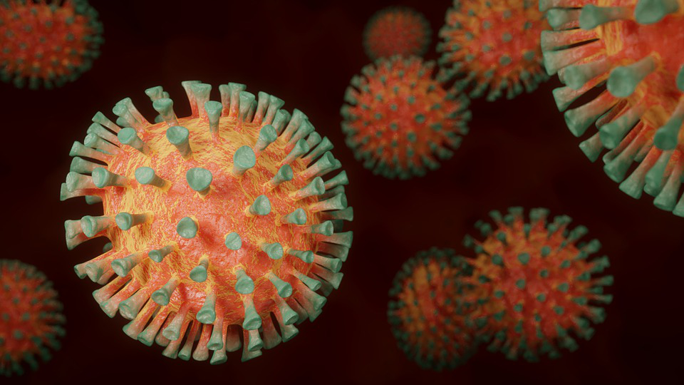3D image of several spherical coronaviruses.