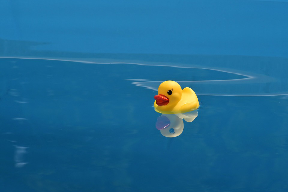a yellow plastic duck swims in a clean, blue body of water