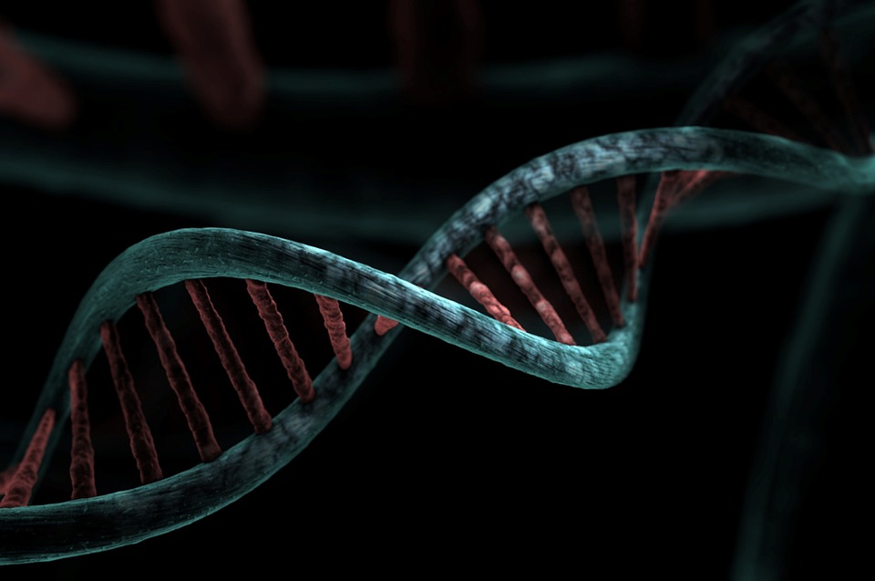 Rendering of a DNA molecule