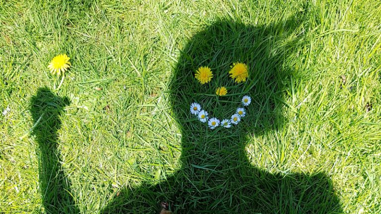 The shadow of a man falls on a green lawn. Three dandelion plants were used to affix the eyes and nose and several daisies were used to create a laughing mouth