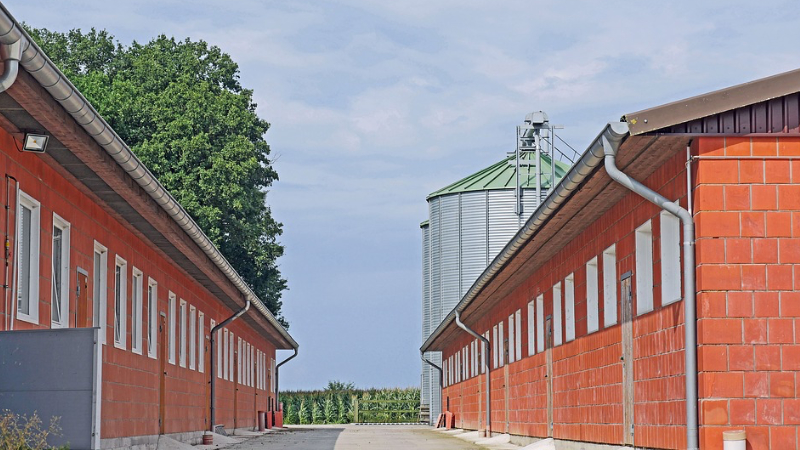 Poultry farm with a feed silo somewhere in the European Union.