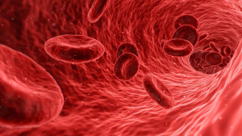 3D image of red blood cells