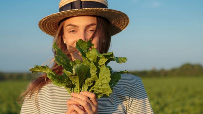 Girl farmer holding sugar beet in hands