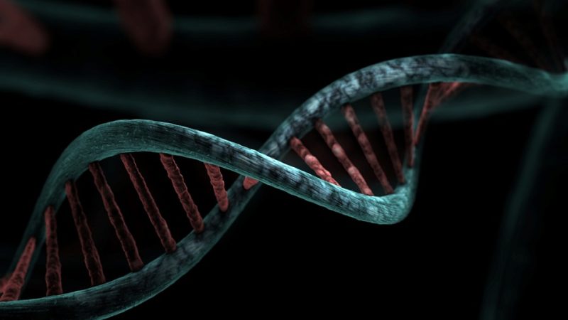 Rendering of a DNA molecule