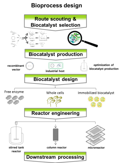 blog_glycoside2