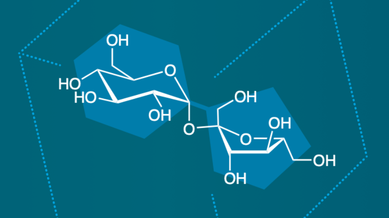 Glycosides