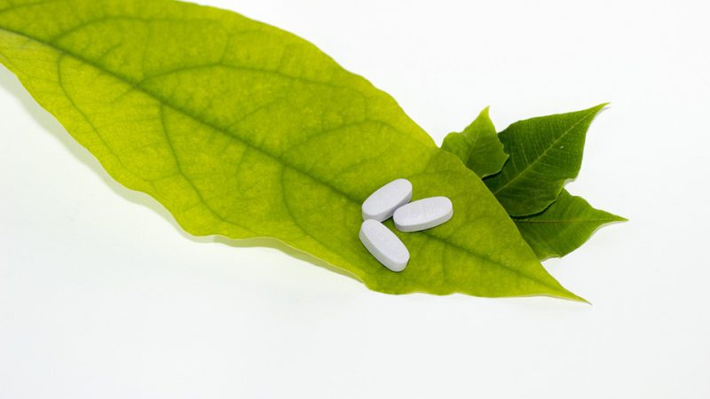 The picture shows pills on a leaf of a plant.