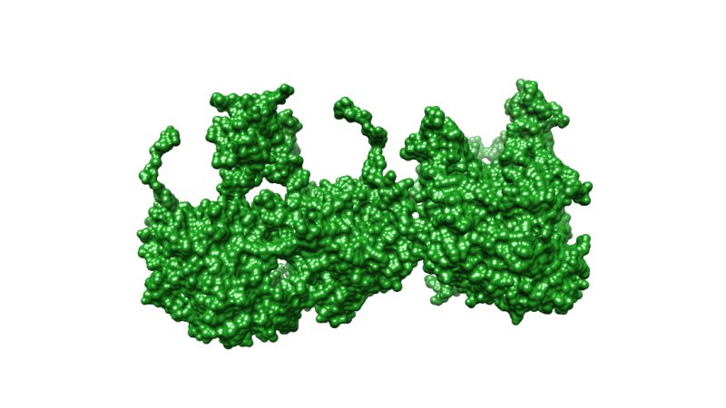3D Rendering of a Katalse molecule