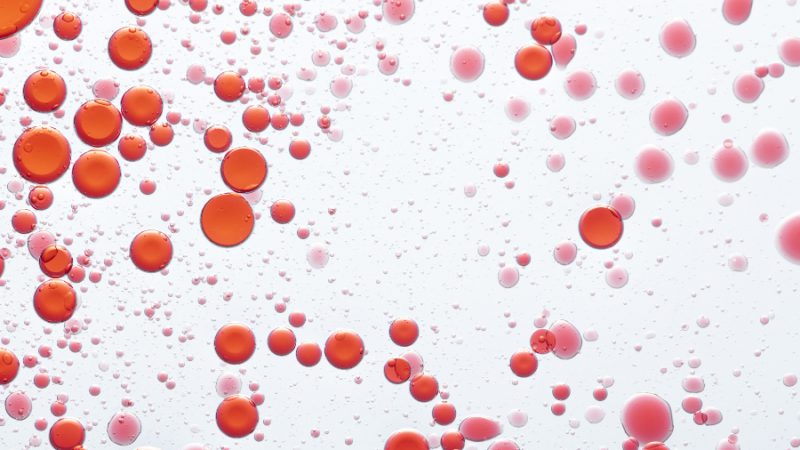 macro image of red oil droplets in water
