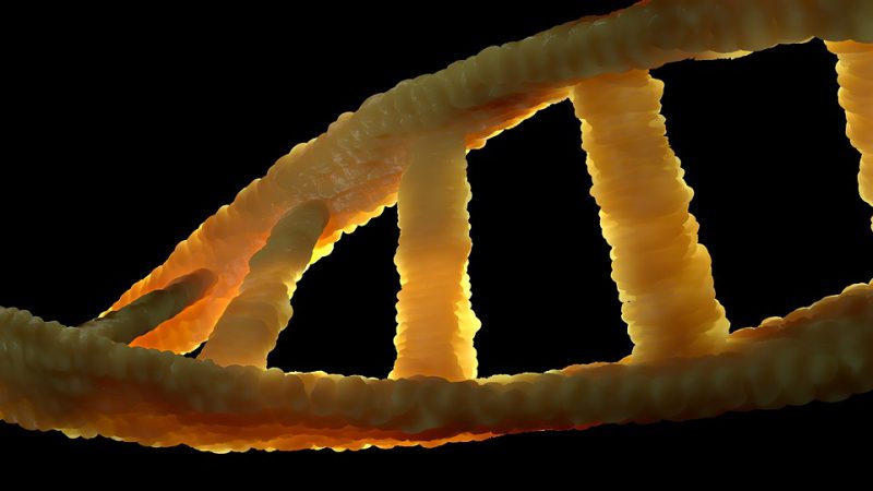 3D image of a yellow DNA double helix