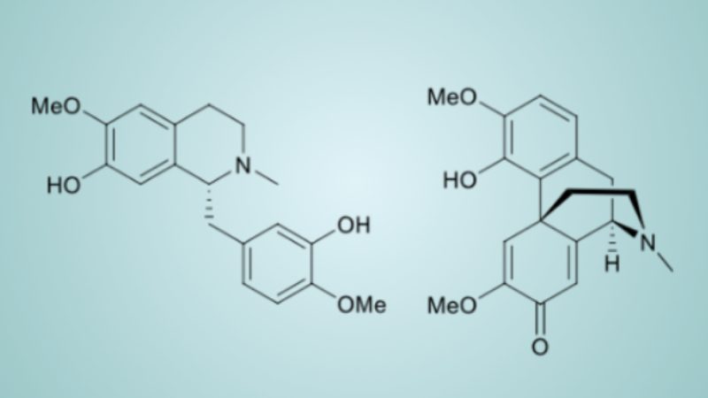 acib_open_innovation-pn0gwbmnm7mep6gvfoep1yj3d1ipxdg4q1xmb83d78