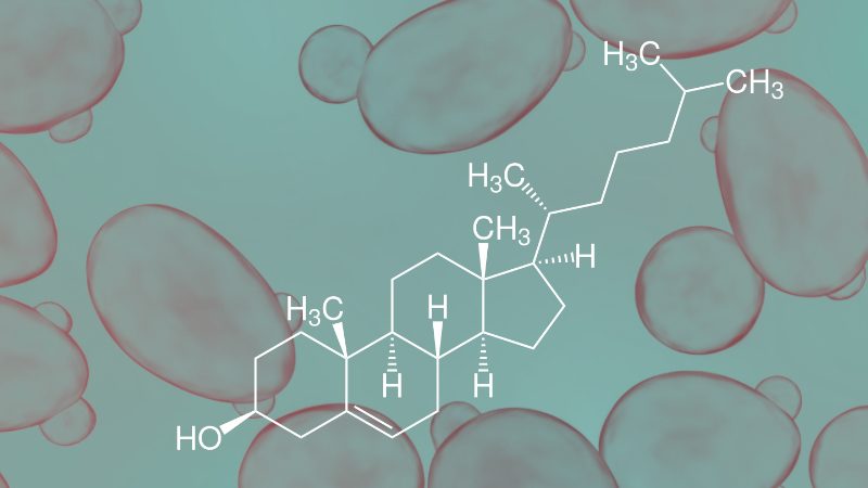 acib_open_innovation-pn0gwbmnm7mep6gvfoep1yj3d1ipxdg4q1xmb83d78